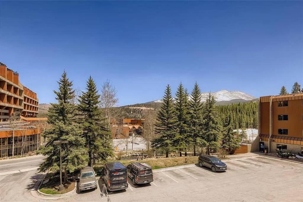 Apartment Beaver Run Studio- Dog Friendly
